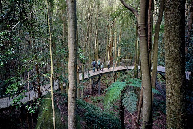 Blue Mountains Adventure w Scenic World, Zoo, Koala Photo & Ferry - A 10-and-a-half-hour Blue Mountains plus zoo plan from Sydney