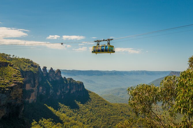 Blue Mountains Adventure w Scenic World, Zoo, Koala Photo & Ferry - Scenic World rides, the rainforest walk, and how to time it