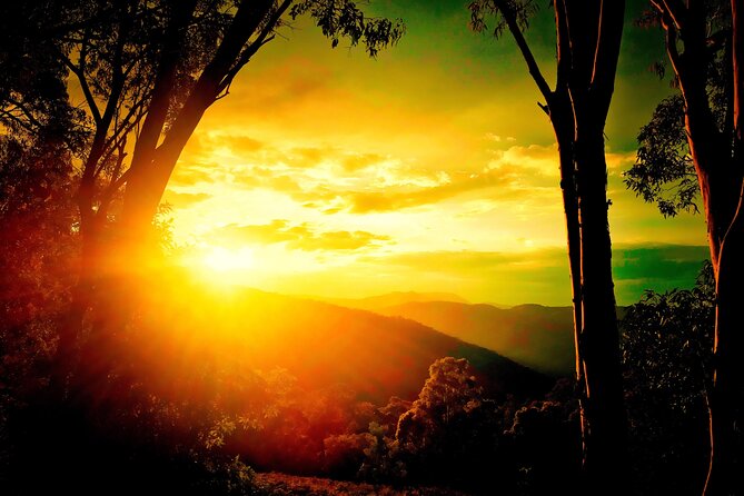 Blue Mountains Day, Sunset Tour & Glow Worms Night Adventure - Key things I’d circle before you book