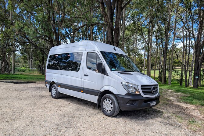 Blue Mountains Day Tour -Scenic World, Koalas & Roos (15 ppl LUX) - Aboriginal rock engraving: a rare, meaningful stop that adds depth