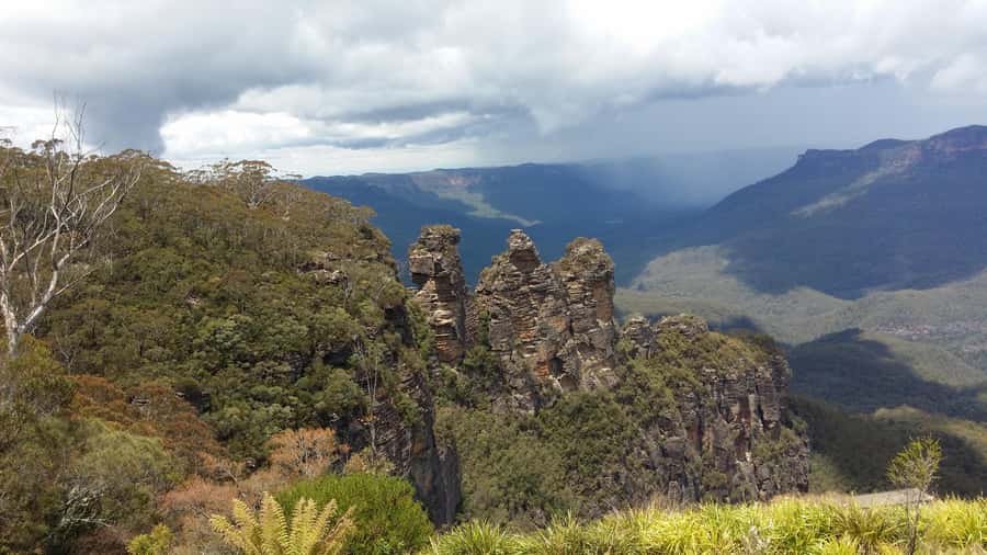 Blue Mountains day Tour small group from Sydney - Mercedes Pickup and the Drive to Katoomba (What to Expect)