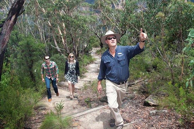 Blue Mountains Day Tour With Bushwalks, Waterfalls & Featherdale - Why This Blue Mountains Day Works Without a Car