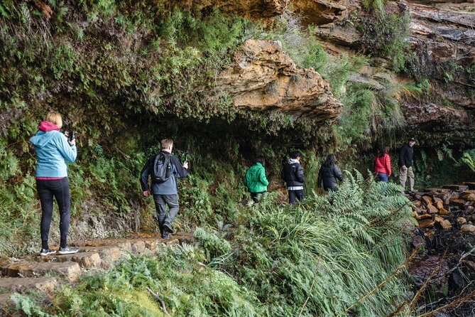 Blue Mountains Day Tour With Bushwalks, Waterfalls & Featherdale - Wentworth Falls Bushwalks: The Part You Earn