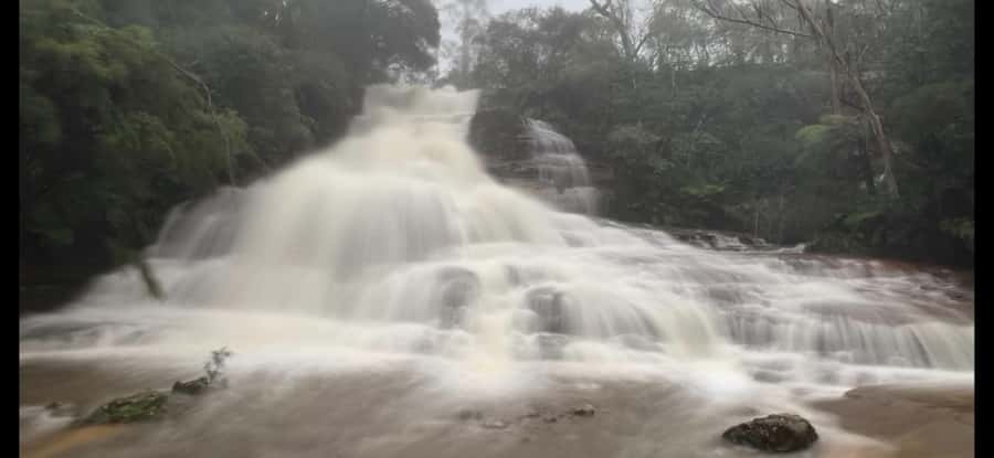 Blue Mountains day tour with Cruise, Scenic world pass & Zoo - Key Things to Know Before You Go