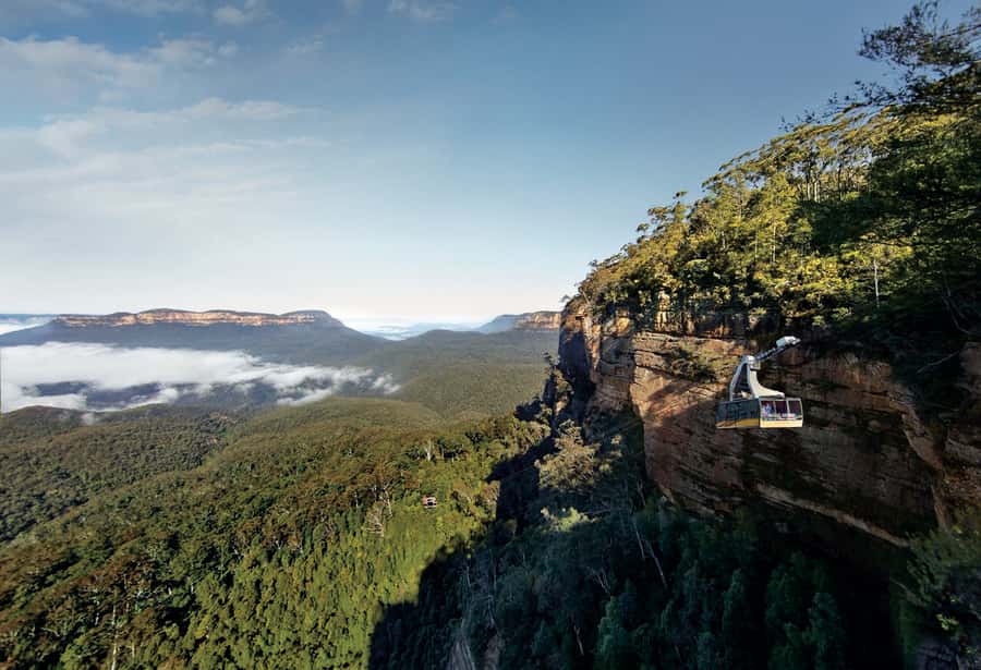Blue Mountains day tour with Cruise, Scenic world pass & Zoo - Wentworth Falls or Bridal Veil Falls: An Easy Walk With Real Payoff