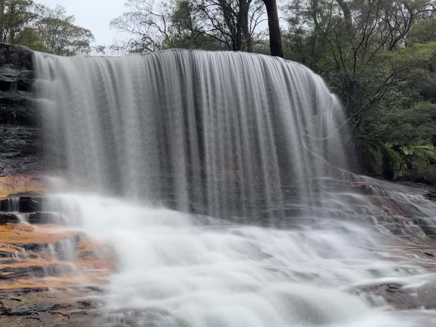 Blue Mountains day tour with Cruise, Scenic world pass & Zoo - Pickup, Group Size, and the Start That Sets the Tone