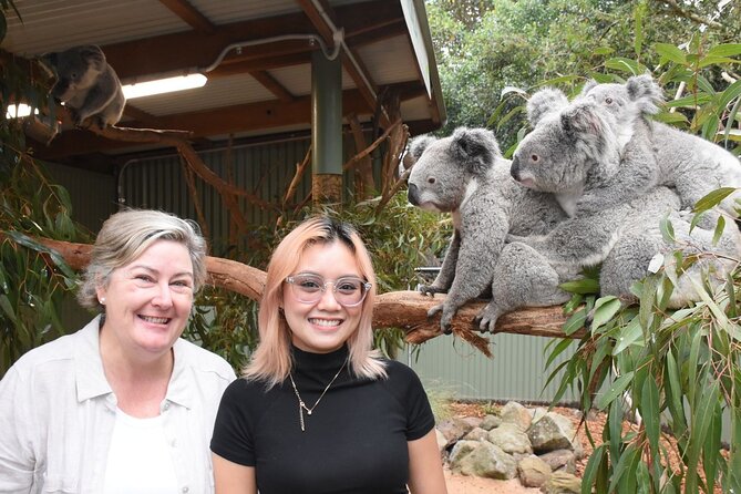 Blue Mountains Day Tour with Wildlife and Scenic World Entry - Lincoln’s Rock: Short Stop, Big Cliff Feel