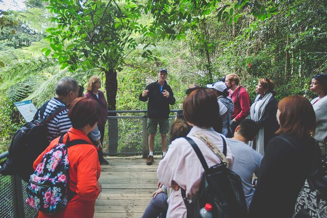 Blue Mountains Day Tour with Wildlife, Walks and Scenic World - Your 7am to 6:30pm small-group rhythm