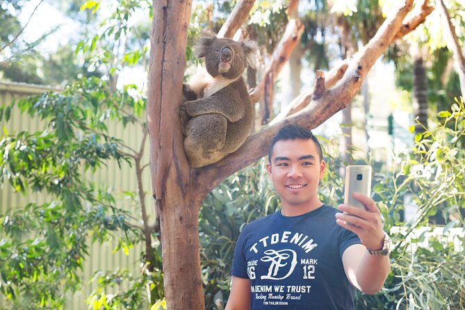 Blue Mountains Day Tour with Wildlife, Walks and Scenic World - Wentworth Falls and the Valley of the Waters viewpoint walk