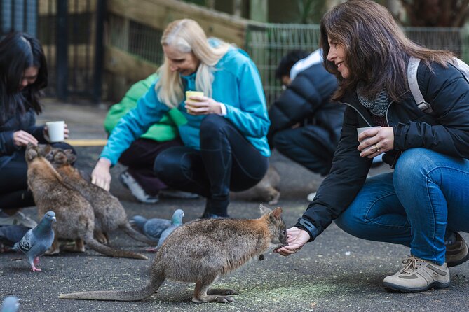 Blue Mountains Day Tour with Wildlife, Walks and Scenic World - Three Sisters and Blue Mountains National Park bushwalk time