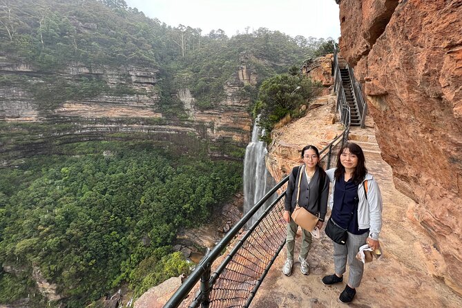 Blue Mountains Day Tour with Wildlife, Walks and Scenic World - Featherdale Wildlife Park: kangaroos and koalas without the long trek