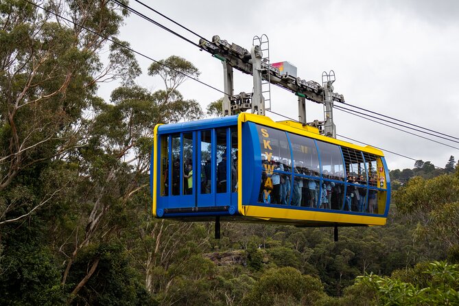 Blue Mountains Day Tour: Zoo, Scenic World & Three Sisters - Sydney Olympic Park Wharf: Ferry Toward Circular Quay and the Easy Wrap-Up