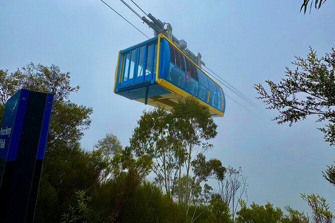 Blue Mountains Day Tours W Scenic World and Lunch - Blue Mountains highlights in one tight 10-hour schedule