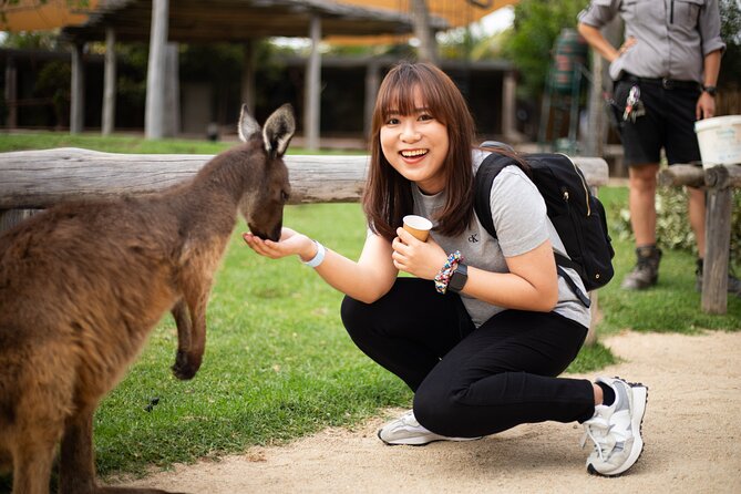 Blue Mountains Express includes Three Sisters Hiking Option - The on-the-ground leadership: why the guide and driver really matter