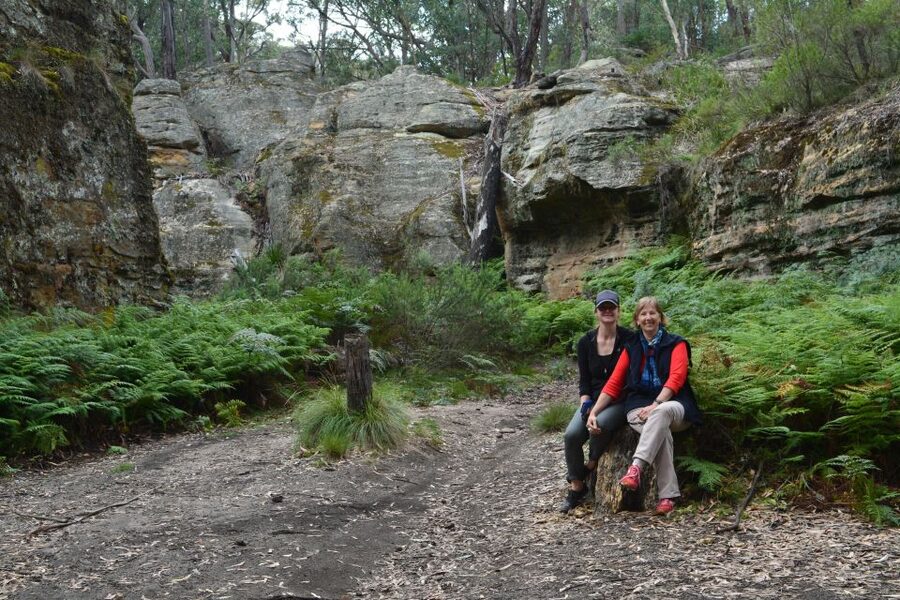 Blue Mountains: Full Day Guided Tour with Lunch - Three Sisters time, plus extra stops that feel more earned