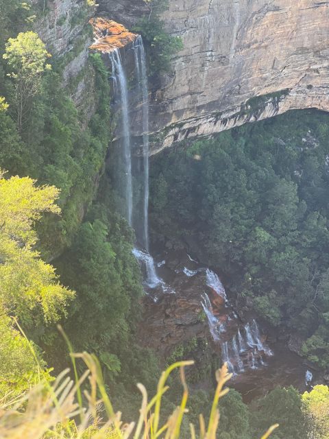Blue Mountains: Full Day Guided Tour with Lunch - Lunch from a local Blue Mountains cafe, plus real downtime