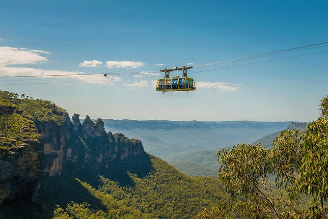 Blue Mountains Highlights, Wildlife Park and Scenic World Full Day Private Tour - Key Highlights You Should Know
