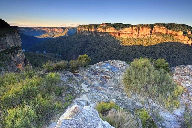 Blue Mountains Highlights, Wildlife Park and Scenic World Full Day Private Tour - Blue Mountains National Park Guided Walk: Learning What You See