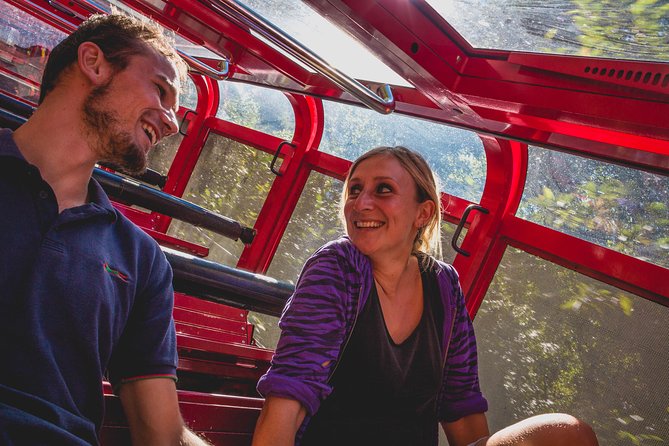 Blue Mountains Hop On Hop Off Tour - Downsides to plan around: restrooms, fog, and looping back