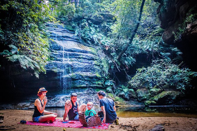 Blue Mountains Hop On Hop Off Tour - Who should book this hop-on hop-off bus