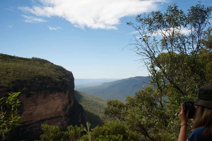 Blue Mountains: Inside a World Heritage National Park - A day in the park, without the big-tour chaos