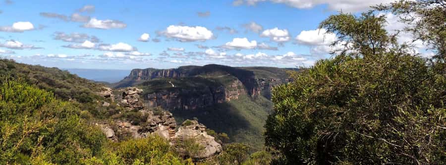 Blue Mountains: Inside a World Heritage National Park - Featherdale Wildlife Park: the best one-hour animal fix