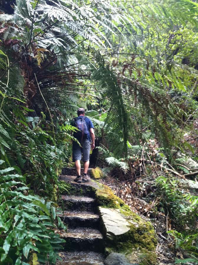Blue Mountains: Inside a World Heritage National Park - Wentworth Falls and Jamison Valley: your first real walking payoff
