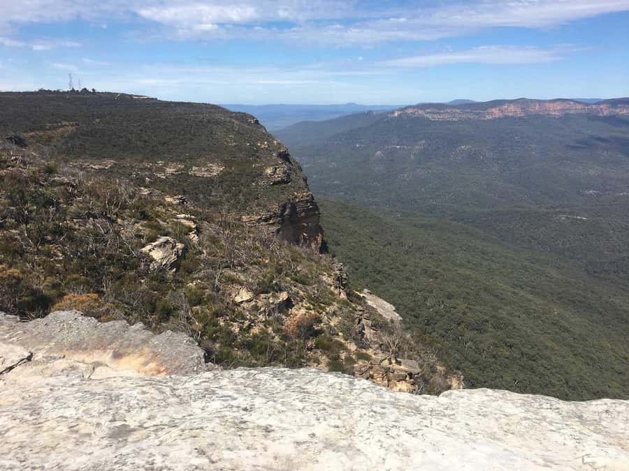 Blue Mountains: Inside a World Heritage National Park - Pickup from Sydney and the timing that keeps your day on track