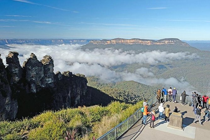Blue Mountains | Koalas, Kangaroos & Bondi Beach Private Tour - Key highlights you’ll feel on the day