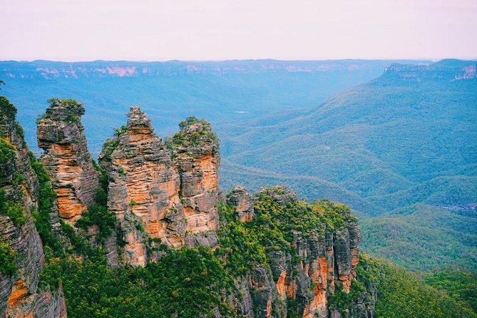 Blue Mountains | Koalas, Kangaroos & Bondi Beach Private Tour - Scenic World cable cars: plan the trade-off before you arrive
