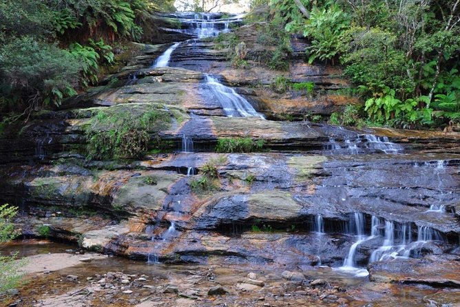 Blue Mountains | Koalas, Kangaroos & Bondi Beach Private Tour - Featherdale Sydney Wildlife Park: the included stop that changes the mood