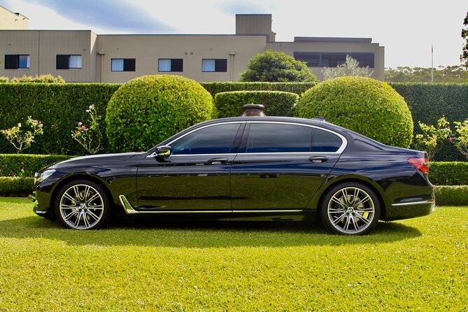 Blue Mountains Luxury Tour from Sydney - Guides Who Adapt: Why the Driver Can Make or Break the Day