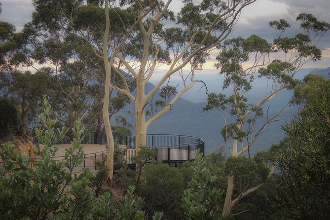 Blue Mountains Private Charter - Price, time, and what you really get for $484.14 per person