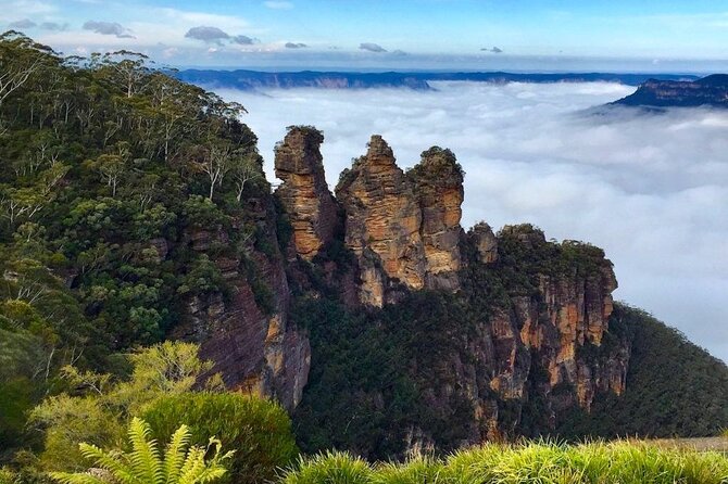 Blue Mountains Private Hiking Tour from Sydney - Dryridge Estate winery time, and what it costs