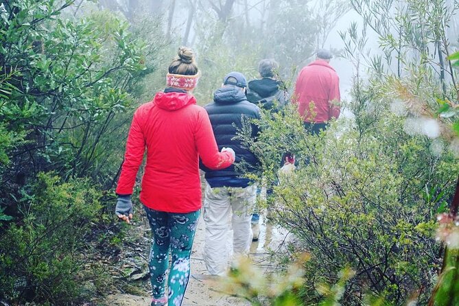 Blue Mountains Private Hiking Tour from Sydney - Price and value for up to six people