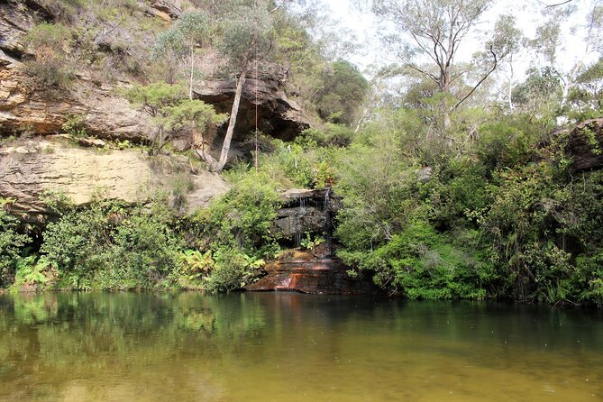 Blue Mountains Private Tour - Getting out of Sydney early: the 8:45am pickup strategy