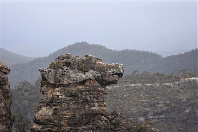 Blue Mountains Private Tour - Scenic World plus the rainforest walk on the valley floor
