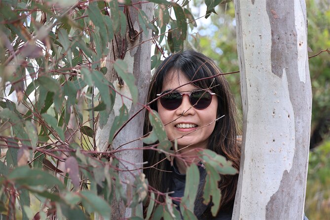 Blue Mountains Private Tour - Price and value: $416 per person, what you get for it