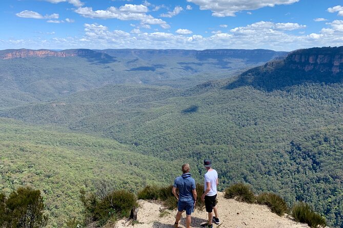 Blue Mountains Private Tour From Sydney, & Featherdale Aussie Animal Park Option - Price and what you actually get for $340.69