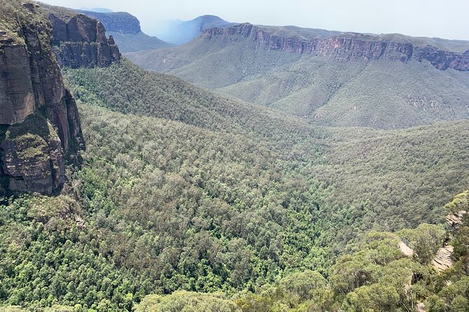 Blue Mountains Private Tour From Sydney, & Featherdale Aussie Animal Park Option - Blue Mountains National Park time, then Rivercat back to Sydney