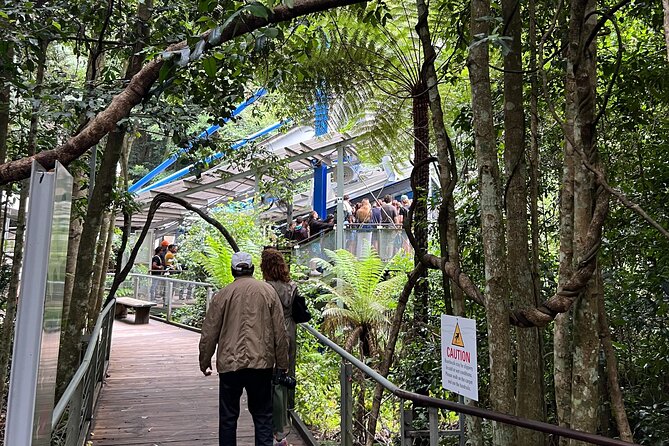 Blue Mountains Private Tour & Hidden Gems, Pick up & Drop off - Katoomba and cockatoos: short, fun, and memorable