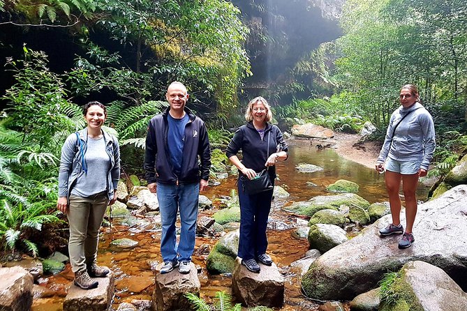 Blue Mountains Private Tour including Wildlife Park - Hotel pickup and a guide who adjusts on the fly