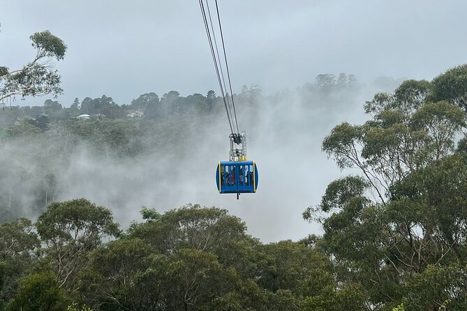 Blue Mountains Private Tour & Scenic World Included - Key highlights you should know first