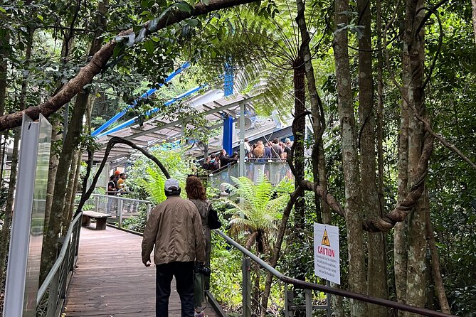 Blue Mountains Private Tour & Scenic World Included - Katoomba Cascades, cockatoos, and the lookout ladder