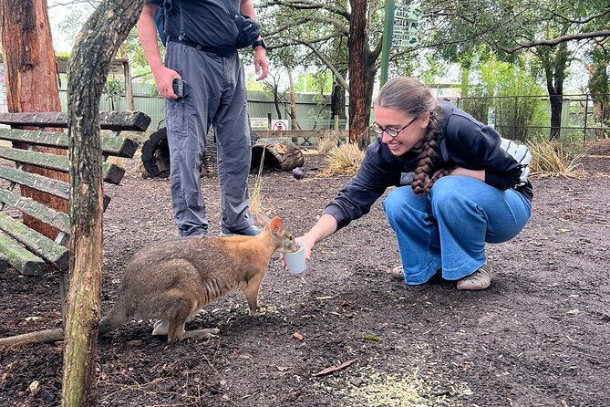 Blue Mountains Private Tour & Scenic World Included - Price and what you’re really getting for $347.33