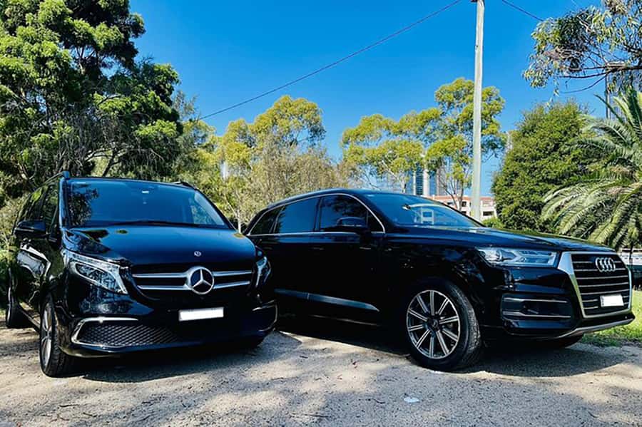 Blue Mountains: Private Tour with Wildlife and River Cruise - The private-vehicle advantage (and where some days feel rushed)