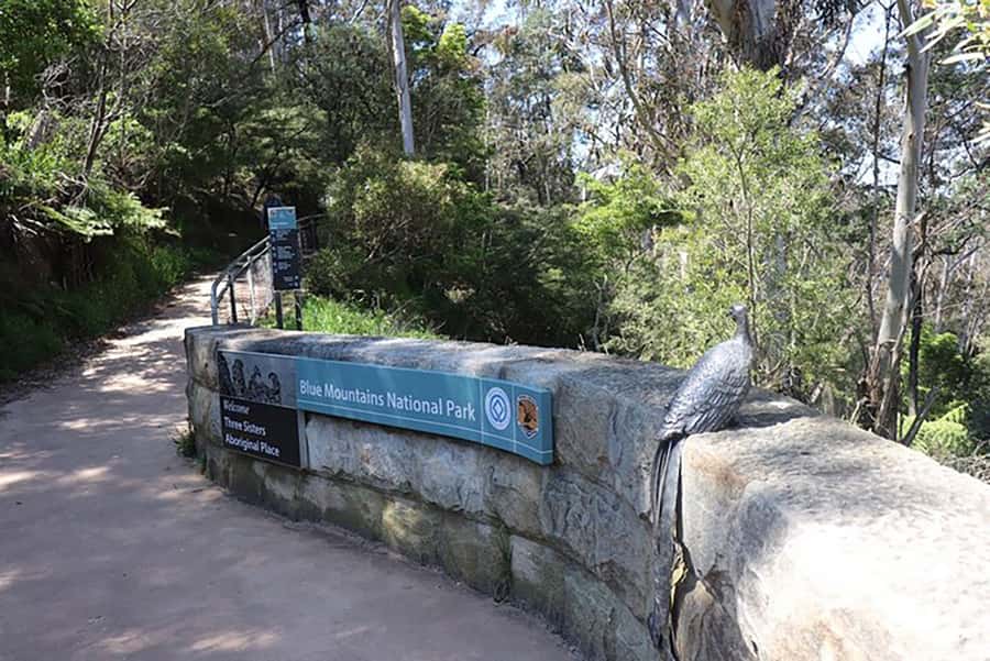 Blue Mountains: Private Tour with Wildlife and River Cruise - Price and value: $548 per group up to 3, plus a few extras