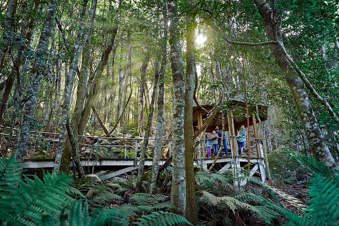 Blue Mountains Small-Group Tour from Sydney with Scenic World,Sydney Zoo & Ferry - Sydney Zoo in one hour: what you can realistically do
