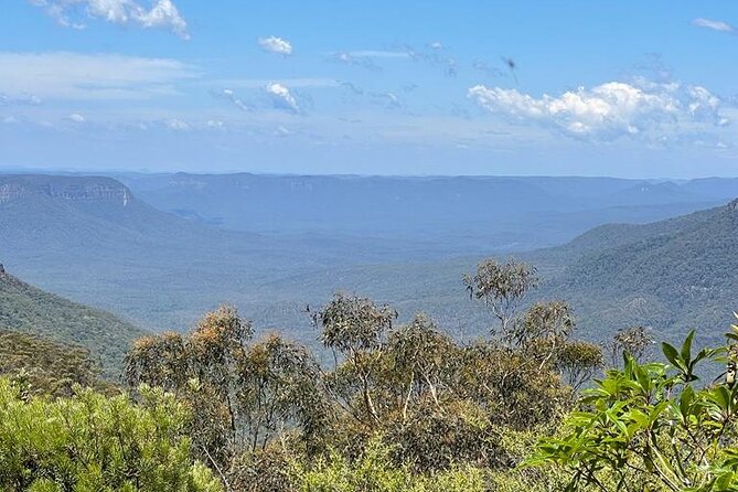 Blue Mountains Small Group Tour w/optional Scenic World & Lunch - Wentworth Falls: The 187-Meter Waterfall Finale