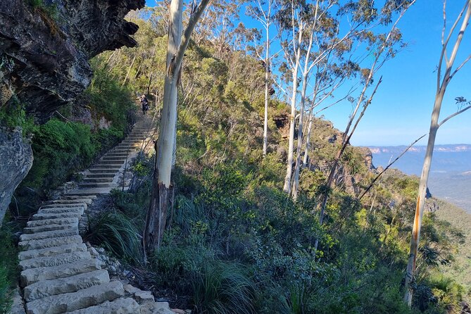 Blue Mountains Small Group Tour with Lunch, Zoo and Scenic World - Leura lunch: the meal break that keeps the day enjoyable